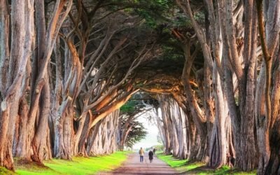 How We Live Our Lives